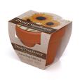 P043 Terracotta Flower Pot
