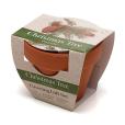 P043 Terracotta Flower Pot