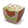 P043 Terracotta Flower Pot