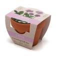 P043 Terracotta Flower Pot