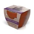 P043 Terracotta Flower Pot