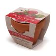 P043 Terracotta Flower Pot