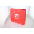 P074 Landscape Laminated Paper Carrier Bag - Large