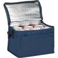 N055 Tonbridge Recycled 6 Can Cooler - Spot Colour
