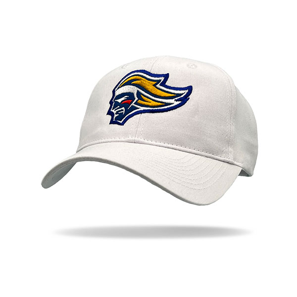 Q172 Beyond Wolf Brushed Cotton Cap