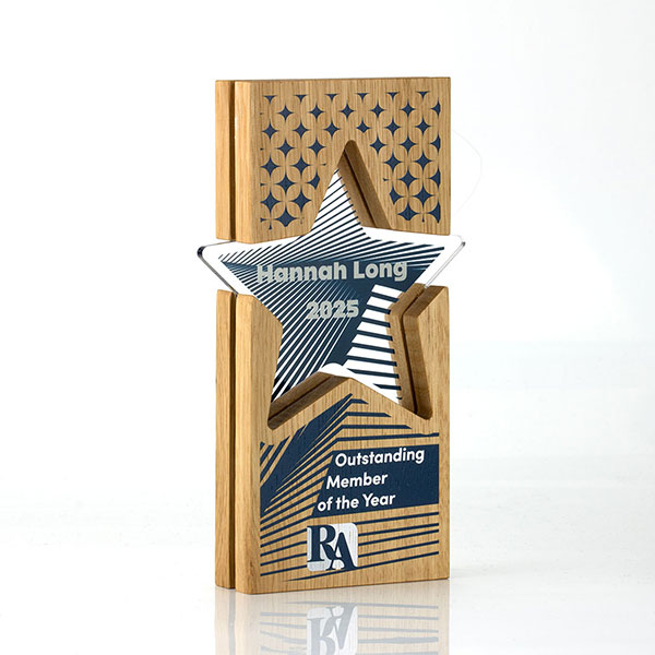 Q096 Acrylic Inset Star Award