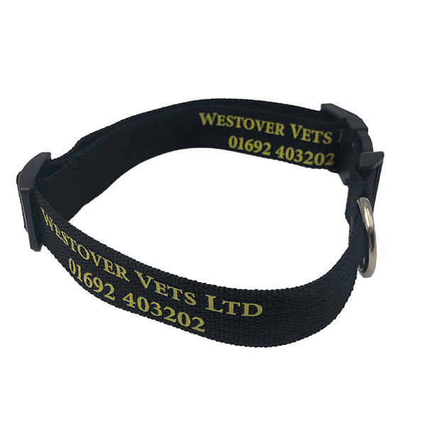 N053 rPET Dog Collar - Spot Colour