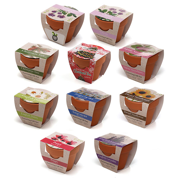 Q059 Terracotta Flower Pot