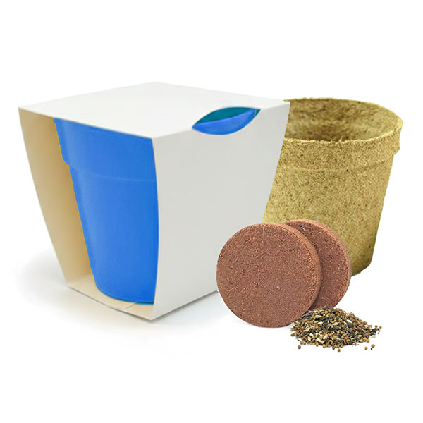 Q059 Bamboo Pot Garden