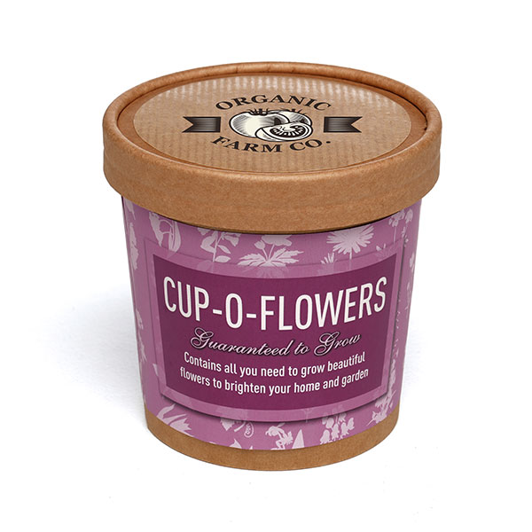 Q059 Paper Cup Grow Kit