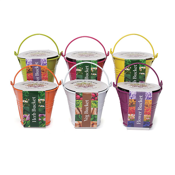 Q059 Coloured Mini Bucket Grow Kit