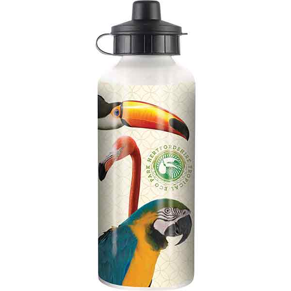 H006 Stainless Steel Sports Bottle 600ml 