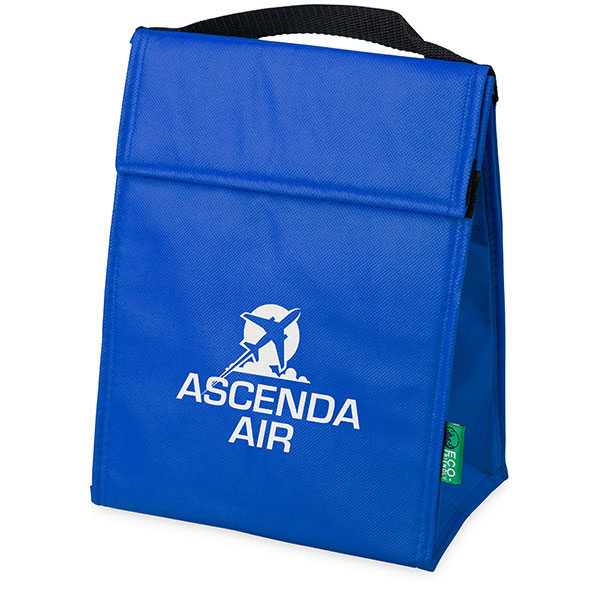 H096 Triangle Non-Woven Cooler Bag