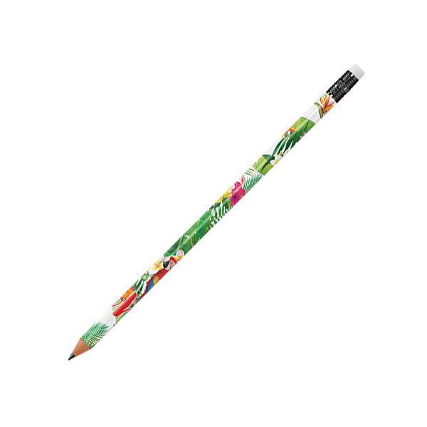 M059 BIC Ecolutions Evolution Classic Pencil - Full Colour