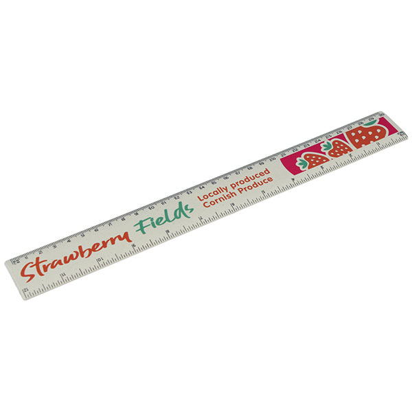 N139 30cm rHIPS.b Ruler