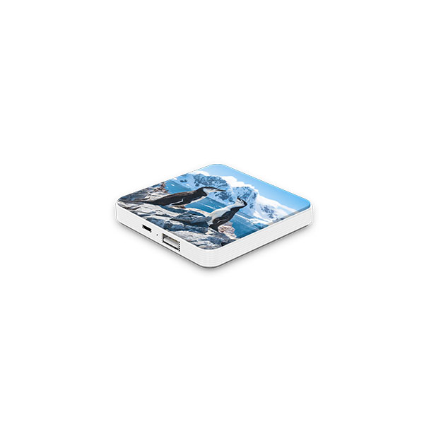 Q019 Billboard 3000mAh Powerbank