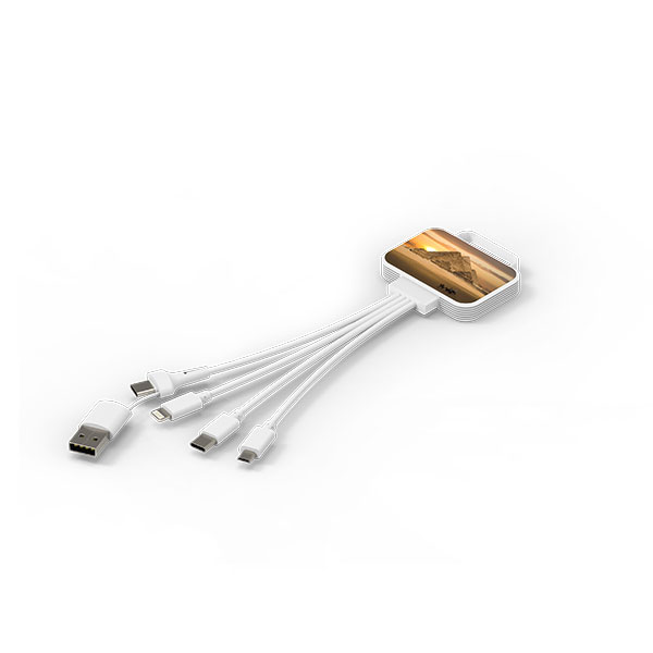 Q019 Billboard 4 in 1 Charging Cable