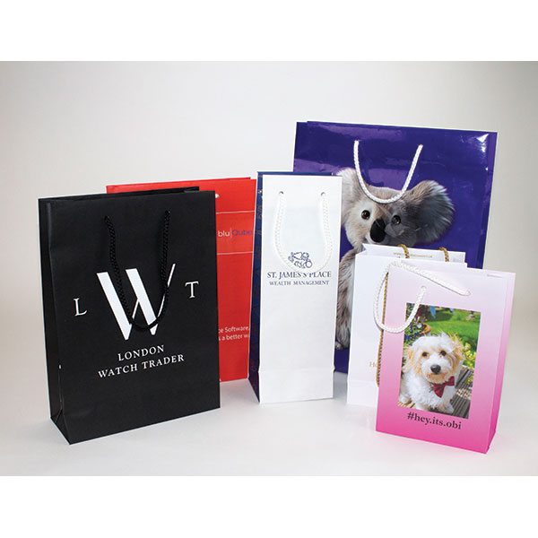 P074 Size 3 Laminated Paper Carrier Bag