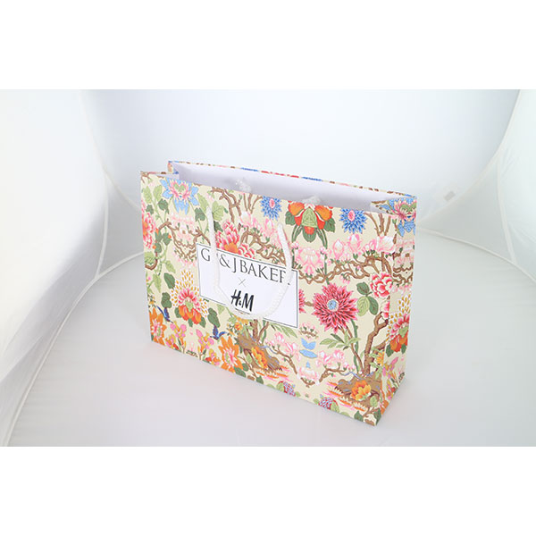 P074 Landscape Laminated Paper Carrier Bag - Small