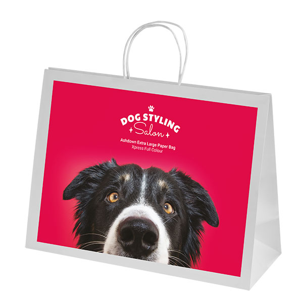 P074 Ashdown White XL Paper Gift Bag - Full Colour