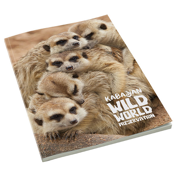 P141 A4 Smart Book