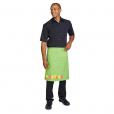 H171 Dennys Multi-Coloured Waist Apron