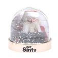 N082 Snow Globe