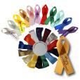 N078 Satin Campaign Ribbon