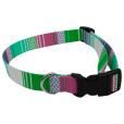 N053 rPET Dog Collar - Full Colour
