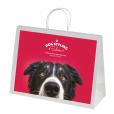 Q051 Ashdown XL White Kraft Paper Gift Bag - Full Colour