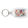 Q029 Access P5 Key Ring