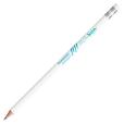 Q121 BIC Evolution Ecolutions Eraser Pencil - Full Colour