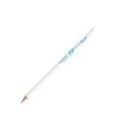 N134 BIC Evolution Ecolutions Pencil - Spot Colour