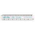 N139 15cm Architect's Scale Rule - Spot Colour