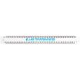 N139 30cm Architect's Scale Rule - Spot Colour