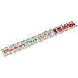 N139 30cm rHIPS.b Ruler