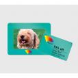 L113 Magnetic Photo Frame