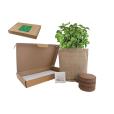 P043 Mail Box Garden
