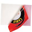 P076 Window Sticker 130cm² - 1 Colour