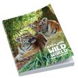 P141 A6 Smart Book