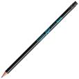 P134 BIC Ecolutions Evolution Classic Pencil - 1 Colour